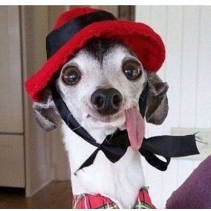 Meet your Posher, Mc